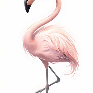 Vibrant Pink Flamingo Clipart Design for Instant Download - Perfect for Sublimation Projects and Modern Decor