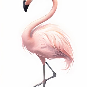 Clipart flamant rose élégant à téléchargement immédiat - Sublimation pour travaux manuels et décoration