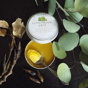 Cottonwood Bud Balm Of Gilead Salve: Organic Balm for Sore Muscles And Stiff Joints