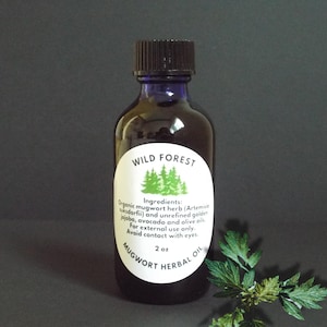 Mugwort Herbal Oil Skincare Massage Muscles Joints Cold Infused In Jojoba Oil Organic Aromatic Artemisia For Vivid Dreams Sleep & Deep Rest