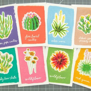 Cartes postales de plantes du désert - Cholla Cactus Set (8-Pack)