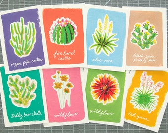 Desert Plant Postcards - Cholla Cactus Set (8-Pack)