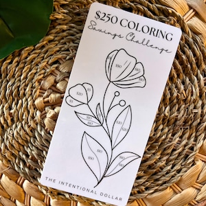 Coloring Savings Challenge | Cash Stuffing Challenge |  Individual Savings Challenges for Cash Stuffing
