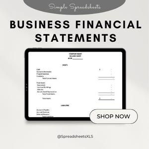 Business Financial Statements Spreadsheet - Balance Sheet, Income Statement, Cash Flow - Excel or Google Sheets