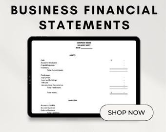Business Financial Statements Spreadsheet - Balance Sheet, Income Statement, Cash Flow - Excel or Google Sheets