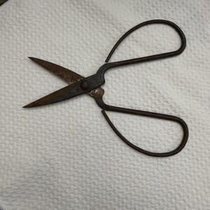 May include: Vintage metal scissors with a rusty brown finish. The scissors have large loop handles and pointed blades. The blades are open, revealing the sharp edges. The scissors are resting on a white textured surface.