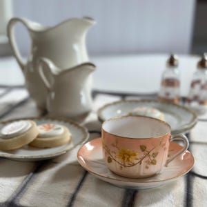Vintage Limoges Tea Cup and Saucer: Peach Floral French Porcelain