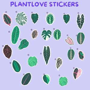 Pu&ograve; includere: Una collezione di adesivi a tema piante su sfondo viola chiaro. Gli adesivi presentano vari disegni di foglie in tonalit&agrave; di verde, rosa e bianco. Il testo "PLANTLOVE STICKERS" &egrave; in alto.
