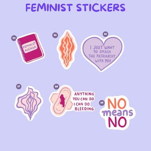 Pu&ograve; includere: Una collezione di adesivi femministi con vari design. Include un taccuino rosa con "FEMINIST AGENDA", un adesivo a forma di cuore con "I JUST WANT TO SMASH THE PATRIARCHY WITH YOU", e un adesivo con "NO means NO".