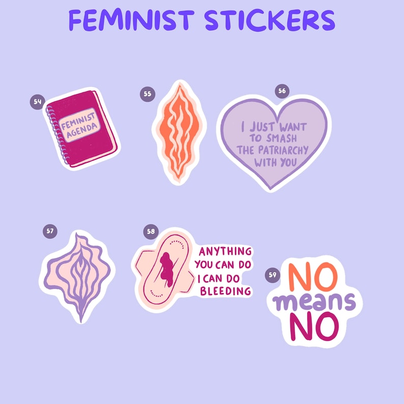 Pu&ograve; includere: Una collezione di adesivi femministi con vari design. Include un taccuino rosa con "FEMINIST AGENDA", un adesivo a forma di cuore con "I JUST WANT TO SMASH THE PATRIARCHY WITH YOU", e un adesivo con "NO means NO".
