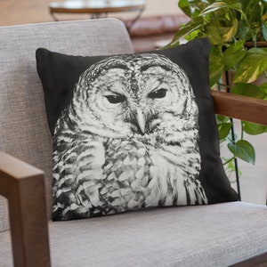 barred owl face black and white graphic bird throw pillow cover in velveteen fabric