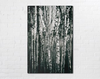 Moody Monochrome Greens Birch Trees Matte Canvas, Stretched, 0.75" Depth
