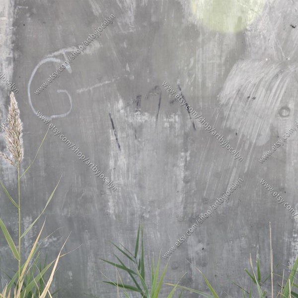 Urban Grunge Cement Wall and Graffiti, Digital Photo Download, Styled Outdoor Distressed Concrete Wall and Tall Grass, Industrial Background