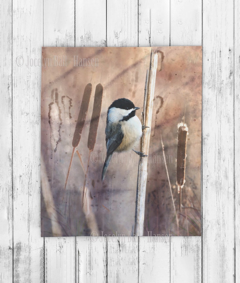 Chickadee in Marsh Fleece Blanket Neutral Colours image 2