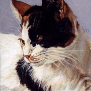 Custom Cat Portrait Painting by Professional and Experienced Artist and Realism Painter Jocelyn Ball, Acrylic on Board image 6