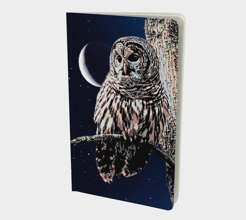 Owl and Moon Journal, Writing or Sketching Booklet, Gift for Artist, 48 Pages Blank or Ruled, 2 Size Options Small