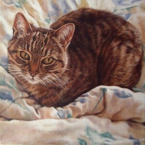 Custom Cat Portrait Painting by Professional and Experienced Artist and Realism Painter Jocelyn Ball, Acrylic on Board image 2