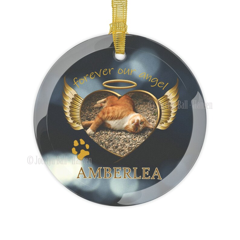 Glass Pet Memorial Ornament, Angel Cat or Dog Bespoke Hanging Round Decoration, One Sided 3.5 Diameter, Animal Tribute Gift for Friend image 4