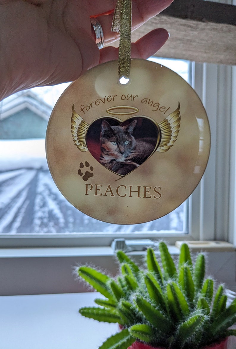 Glass Pet Memorial Ornament, Angel Cat or Dog Bespoke Hanging Round Decoration, One Sided 3.5 Diameter, Animal Tribute Gift for Friend image 8