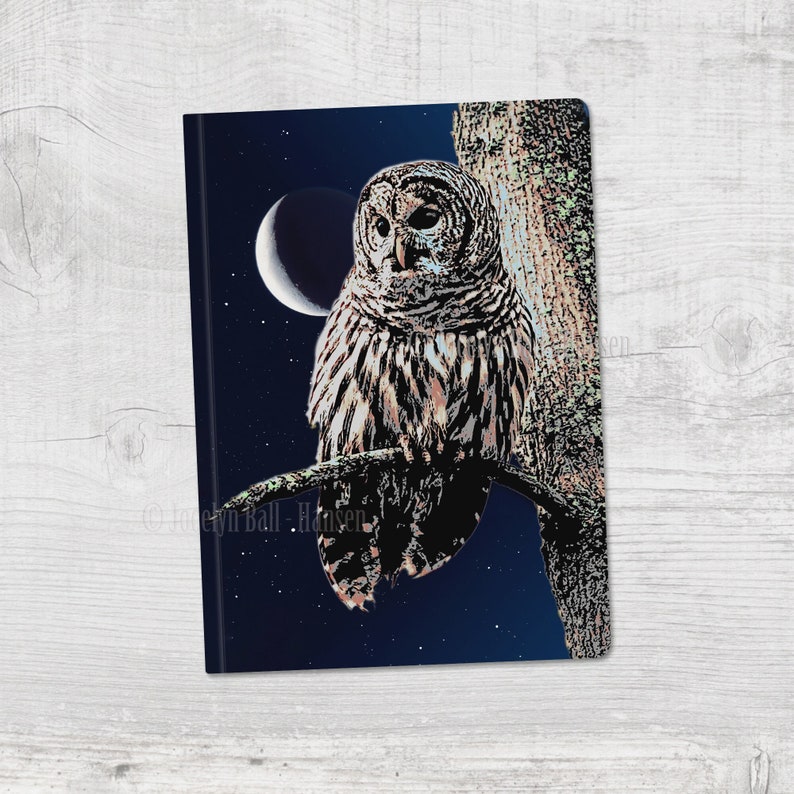 Owl and Moon Journal, Writing or Sketching Booklet, Gift for Artist, 48 Pages Blank or Ruled, 2 Size Options Large