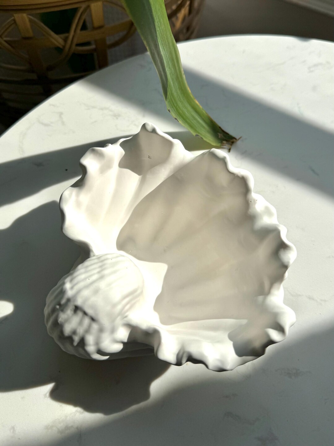 Vide-poche en coquillage ariel, décor côtier en jesmonite, porte-bijoux style plage - Etsy France