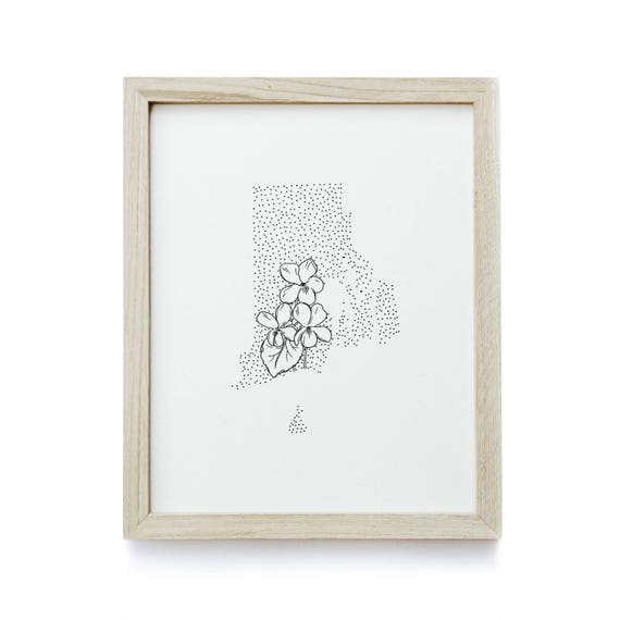 Rhode Island Violet State Flower Drawing Giclee Print