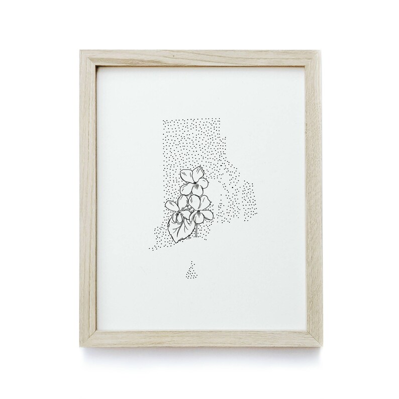 Rhode Island Violet State Flower Drawing Giclee Print