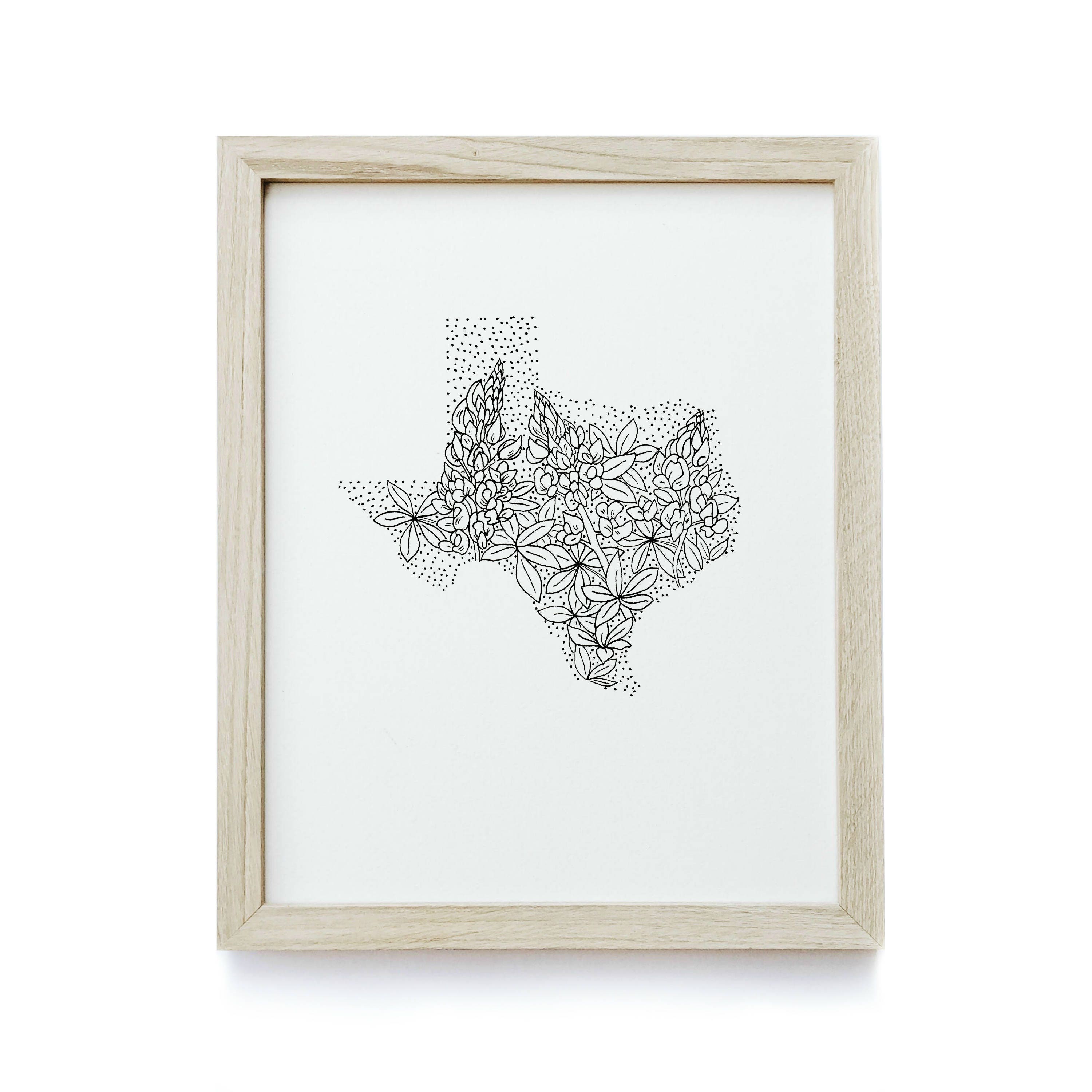Texas state flower drawing 2