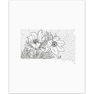 South Dakota American Pasque Flower Minimal State Flower Drawing Digital Art Download image 2