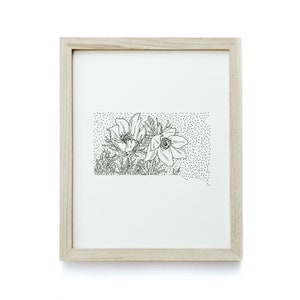 South Dakota American Pasque Flower Minimal State Flower Drawing Digital Art Download image 1