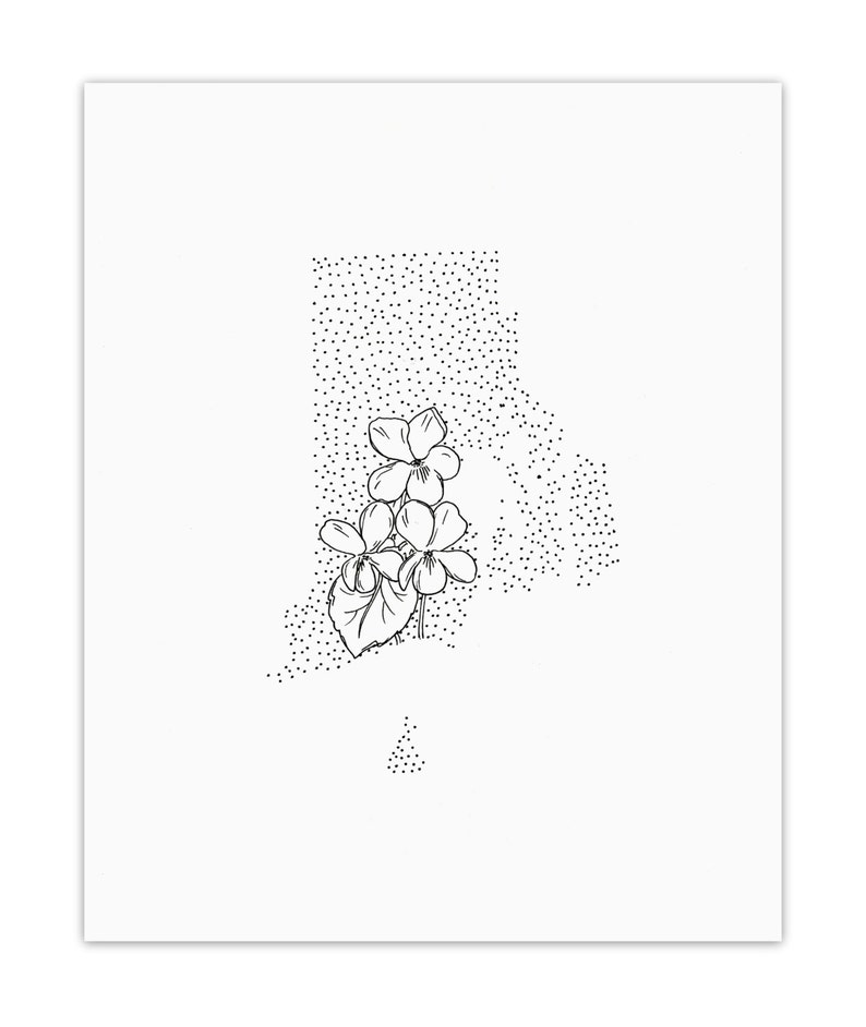 Rhode Island Violet State Flower Drawing Giclee Print