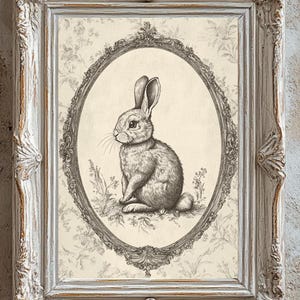May include: A black and white illustration of a rabbit in a decorative oval frame. The rabbit is sitting on a grassy patch with flowers. The background is a cream-colored floral pattern.