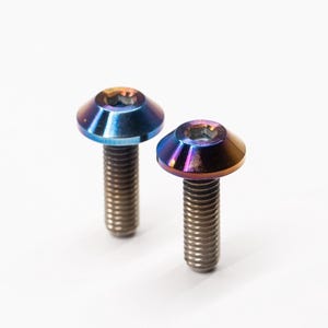 Titanium License Plate Bolts