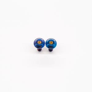 May include: Two blue and gold metal screws with the text "CIRCUIT M4" on the top.