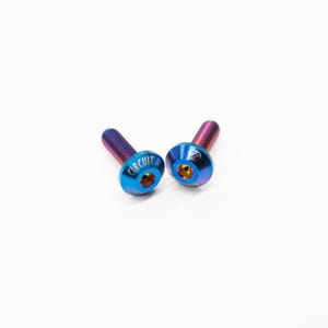 May include: Two iridescent blue and purple screws with a gold colored head. The screw on the left has the word "CIRCUIT" engraved on the head.