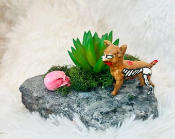 Chihuahua mascota zombi