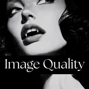 Vampire Woman Wall Art Print: Gothic Horror Portrait Printed On A High Quality Matte Finish Poster (UNFRAMED or DIGITAL DOWNLOAD) imagem 2