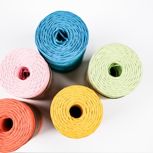 Ficelle en papier torsadée écologique pour emballage cadeau - Rouleau coloré de 100 m en plusieurs tons