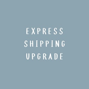 May include: A dusty blue square graphic featuring the white text EXPRESS SHIPPING UPGRADE centred in the middle. The lettering is in a simple, clean, sans-serif font, providing a clear and legible message against the solid muted blue background.