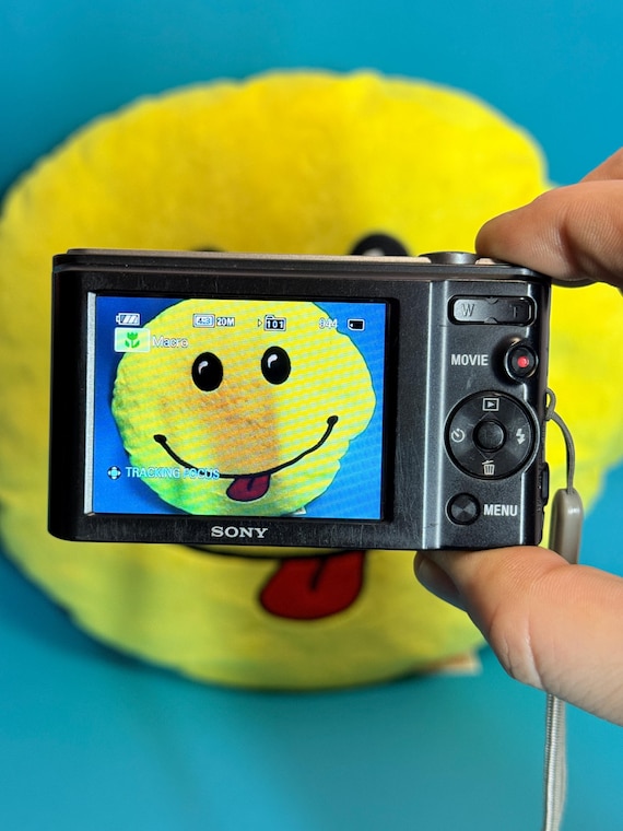 Sony Cybershot DSC-W810: 20.1MP - Black Digital Camera (SD 8GB) - Etsy