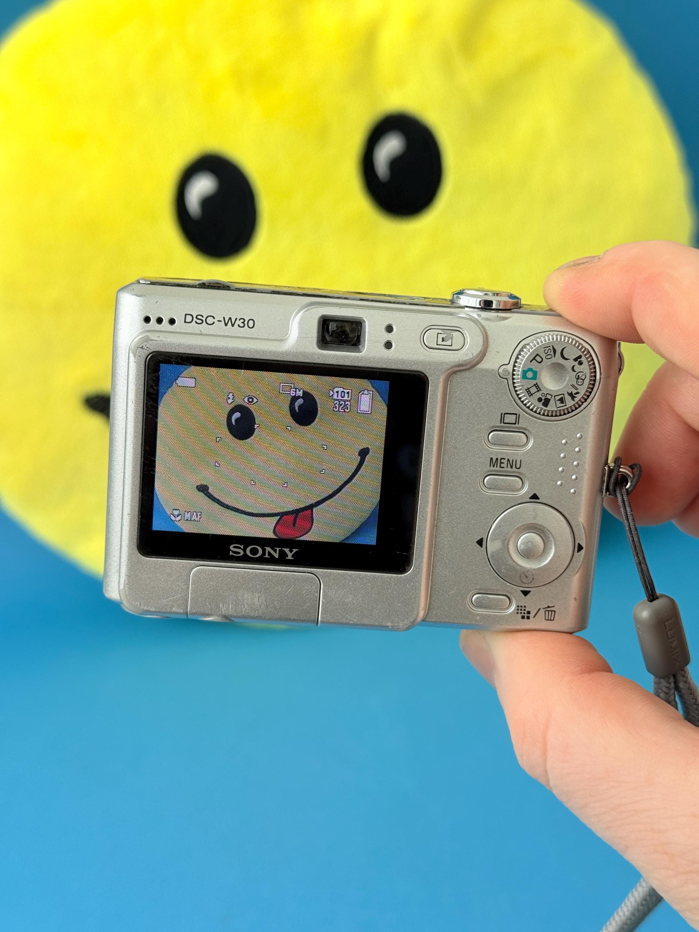 Sony Cyber-shot DSC-W30 6MP Digital Camera | Compact Point and