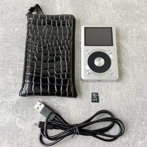 May include: A silver digital music player with a black circular control wheel, a black crocodile-textured zipped carrying case, a black USB charging cable, and a small black microSD memory card with white text printed on its surface.