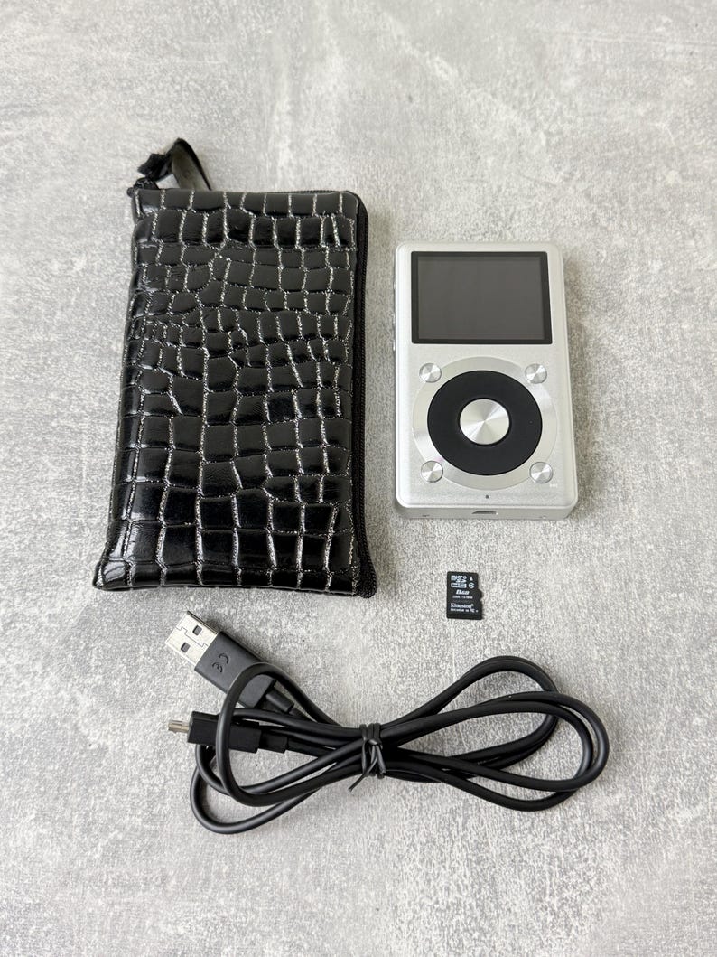 May include: A silver digital music player with a black circular control wheel, a black crocodile-textured zipped carrying case, a black USB charging cable, and a small black microSD memory card with white text printed on its surface.