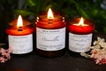 Scented Candles Handmade with Soy Wax and Wooden Wicks | Available 60g, 120g, 180g, and 500g Sizes | WickHarmony | Perfect for Cozy Ambience