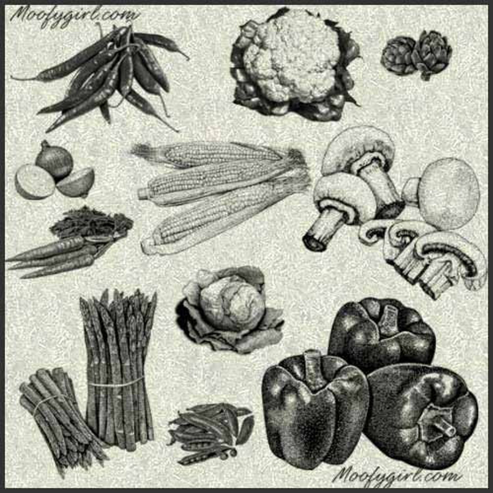 Vegetables Food Brushes Brush Set Etsy