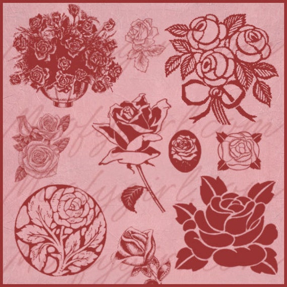 Roses Rose Brushes Brush Set PS Creative Cloud CC Etsy