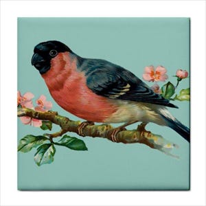 Bull Finch Bird Ceramic Tile Art Backsplash Home Wall Decor for Kitchen Bathroom Interiors