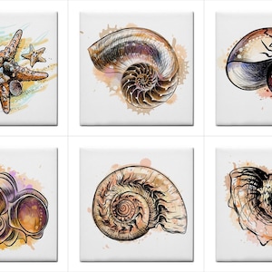 May include: Six square tiles featuring watercolor illustrations of seashells and starfish. The artwork includes detailed drawings of various shells, with a mix of colors and textures. Each tile has a white background with a splash of color.