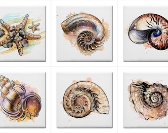 Seashell Shells Beach Art 4.25 Inch Ceramic Tile Backsplash Border Tiles Set Of 6 Back Splash