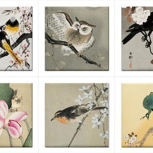 Peut inclure: Six carreaux carrés présentant des œuvres d'art de style japonais d'oiseaux et de fleurs. Les carreaux présentent un oiseau noir et jaune sur une branche avec des fleurs roses, un hibou brun et blanc sur une branche avec des fleurs blanches, un corbeau noir sur une branche avec des fleurs blanches, un petit oiseau brun sur une branche avec des fleurs blanches, un oiseau brun et blanc sur une branche avec des fleurs blanches, et un paon vert et bleu sur une branche avec des fleurs blanches.